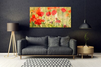 Glasbild aus Plexiglas® Mohnblumen Natur