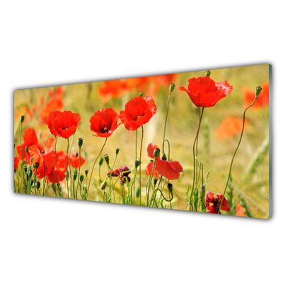 Glasbild aus Plexiglas® Mohnblumen Natur