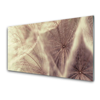 Glasbild aus Plexiglas® Pusteblume Pflanzen