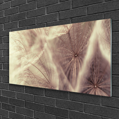 Glasbild aus Plexiglas® Pusteblume Pflanzen