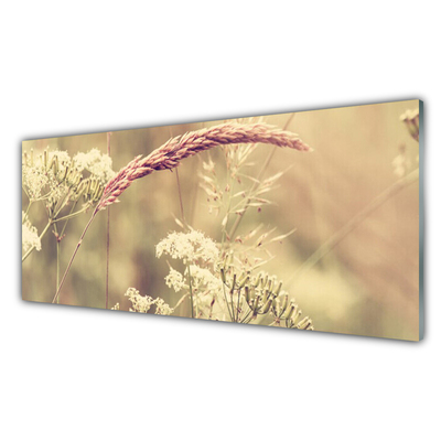 Glasbild aus Plexiglas® Wildpflanzen Pflanzen