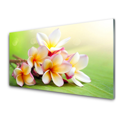 Glasbild aus Plexiglas® Blumen Pflanzen