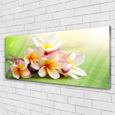 Glasbild aus Plexiglas® Blumen Pflanzen