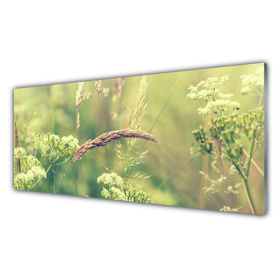 Glasbild aus Plexiglas® Wildpflanzen Pflanzen