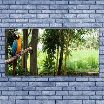 Glasbild aus Plexiglas® Papagei Bäume Natur