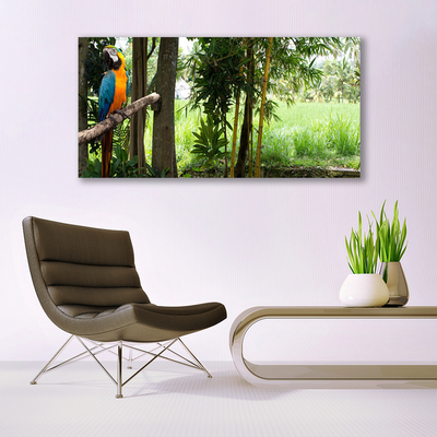 Glasbild aus Plexiglas® Papagei Bäume Natur