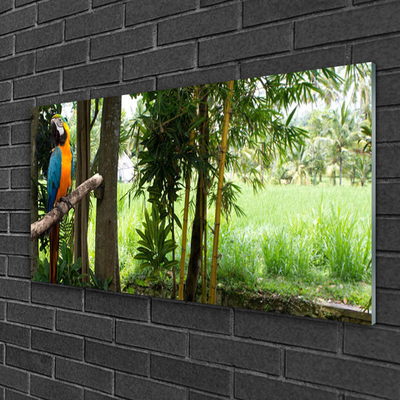 Glasbild aus Plexiglas® Papagei Bäume Natur