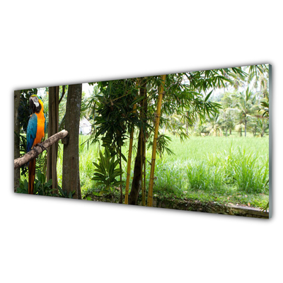 Glasbild aus Plexiglas® Papagei Bäume Natur
