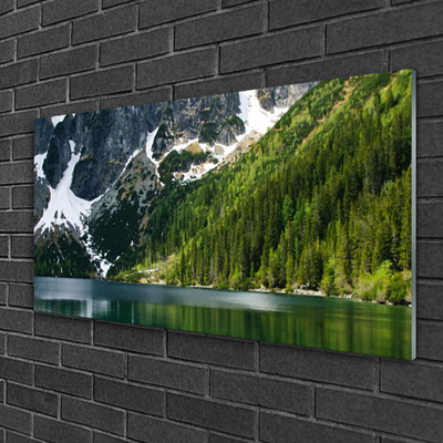 Glasbild aus Plexiglas® See Wald Gebirge Landschaft