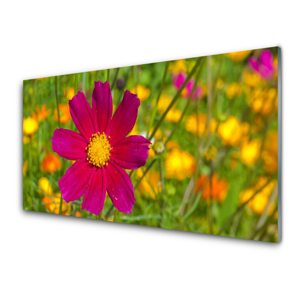 Glasbild aus Plexiglas® Blume Pflanzen