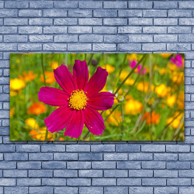 Glasbild aus Plexiglas® Blume Pflanzen