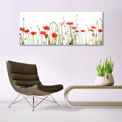 Glasbild aus Plexiglas® Mohnblumen Pflanzen