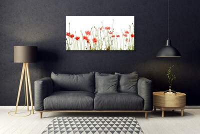 Glasbild aus Plexiglas® Mohnblumen Pflanzen