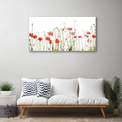 Glasbild aus Plexiglas® Mohnblumen Pflanzen