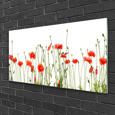 Glasbild aus Plexiglas® Mohnblumen Pflanzen