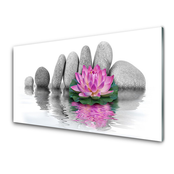 Glasbild aus Plexiglas® Blume Steine Kunst