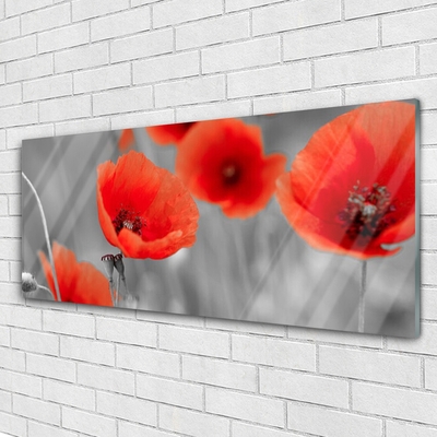 Glasbild aus Plexiglas® Mohnblumen Pflanzen