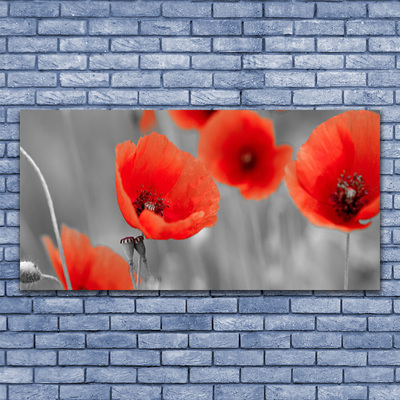 Glasbild aus Plexiglas® Mohnblumen Pflanzen