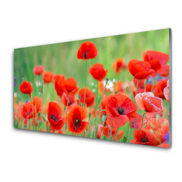 Glasbild aus Plexiglas® Mohnblumen Pflanzen