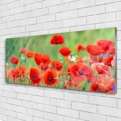 Glasbild aus Plexiglas® Mohnblumen Pflanzen