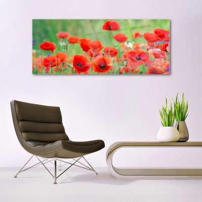 Glasbild aus Plexiglas® Mohnblumen Pflanzen