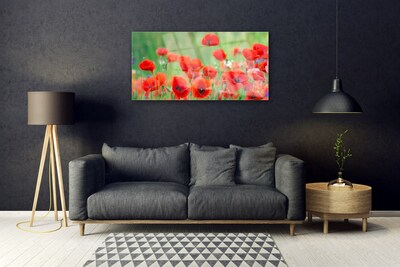 Glasbild aus Plexiglas® Mohnblumen Pflanzen