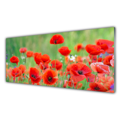 Glasbild aus Plexiglas® Mohnblumen Pflanzen