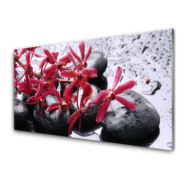 Glasbild aus Plexiglas® Blumen Steine Kunst