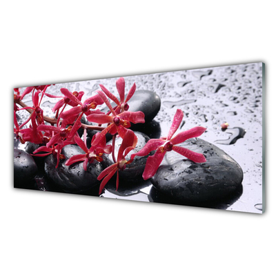 Glasbild aus Plexiglas® Blumen Steine Kunst