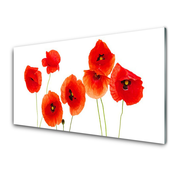 Glasbild aus Plexiglas® Mohnblumen Pflanzen