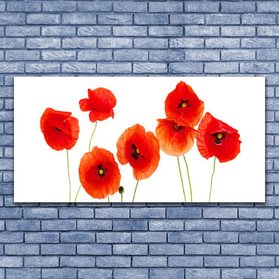 Glasbild aus Plexiglas® Mohnblumen Pflanzen