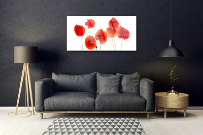 Glasbild aus Plexiglas® Mohnblumen Pflanzen