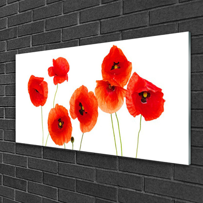 Glasbild aus Plexiglas® Mohnblumen Pflanzen