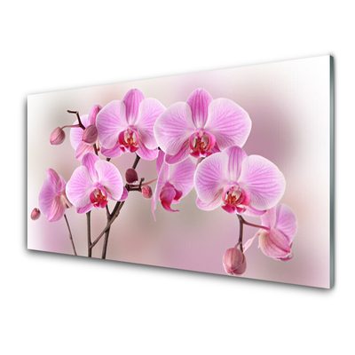 Glasbild aus Plexiglas® Blumen Pflanzen