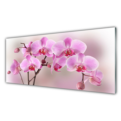 Glasbild aus Plexiglas® Blumen Pflanzen