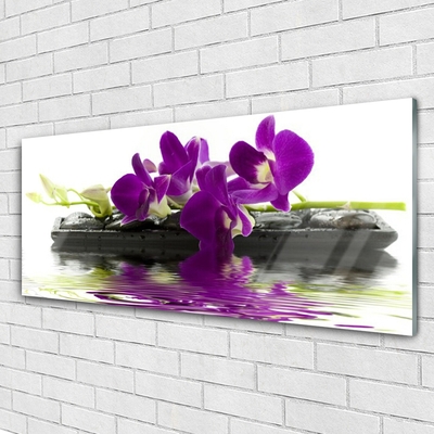 Glasbild aus Plexiglas® Blumen Pflanzen