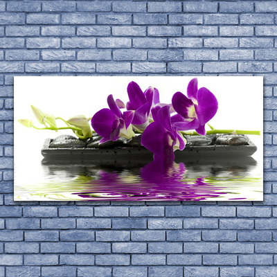 Glasbild aus Plexiglas® Blumen Pflanzen