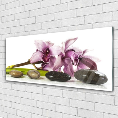 Glasbild aus Plexiglas® Blumen Steine Pflanzen