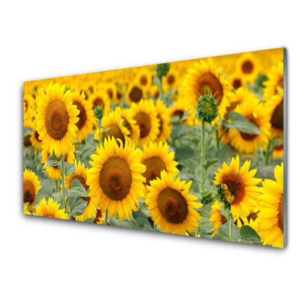 Glasbild aus Plexiglas® Sonnenblumen Pflanzen