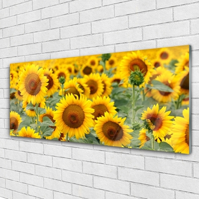 Glasbild aus Plexiglas® Sonnenblumen Pflanzen