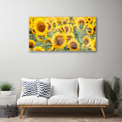 Glasbild aus Plexiglas® Sonnenblumen Pflanzen