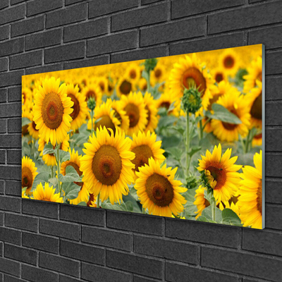 Glasbild aus Plexiglas® Sonnenblumen Pflanzen