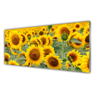 Glasbild aus Plexiglas® Sonnenblumen Pflanzen