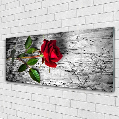 Glasbild aus Plexiglas® Rose Pflanzen