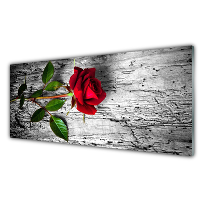 Glasbild aus Plexiglas® Rose Pflanzen