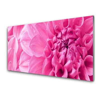 Glasbild aus Plexiglas® Blumen Pflanzen