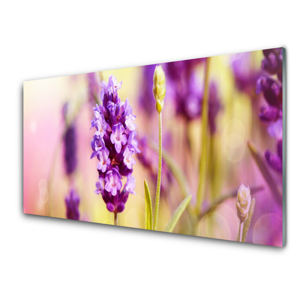 Glasbild aus Plexiglas® Blumen Pflanzen