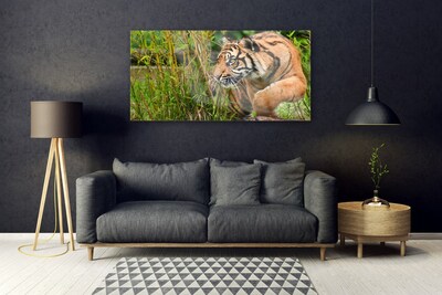 Glasbild aus Plexiglas® Tiger Tiere