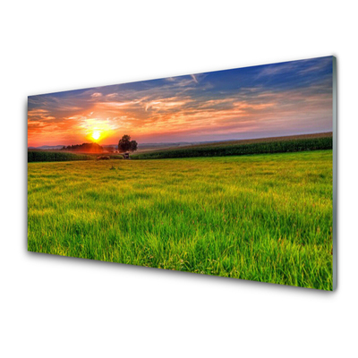 Glasbild aus Plexiglas® Wiese Sonne Natur