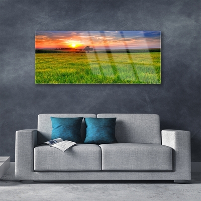 Glasbild aus Plexiglas® Wiese Sonne Natur